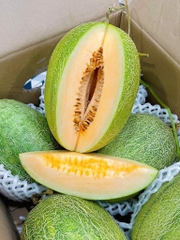 Dưa lưới VN ruột cam