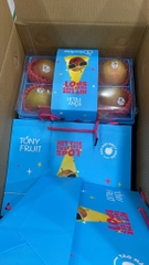 Set quà Táo Mỹ Evercrisp – Quà biếu sang trọng, giòn ngọt cao cấp