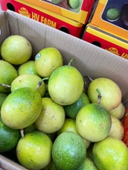 Chanh Dây Ngọt Vỏ Ổi – Thơm Dịu, Ít Chua, Ăn Tươi Cực Đã | Like Fruit