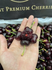 CHERRY MỸ RIVERMAID S10