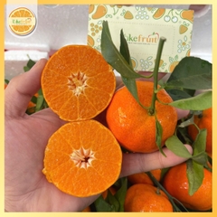 Cam Canh Tươi Vườn – Ngọt Đậm Tự Nhiên, Trưng Tết & Ăn Hàng Ngày