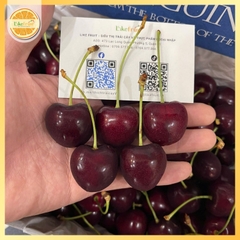 Cherry New Zealand Penguin (Thùng 2kg) – Trái to đều, giòn ngọt đậm vị, cao cấp làm quà biếu