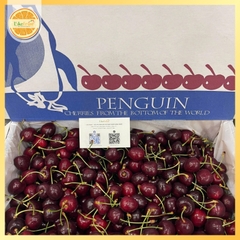 Cherry New Zealand Penguin size 26–28 (thùng 5kg) – Trái to đều, ngọt đậm, giòn mọng cao cấp
