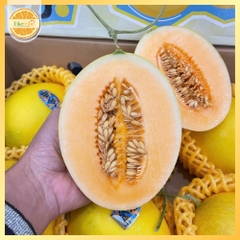 Dưa Vàng Mặt Trời SunnyO