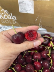 Cherry Đỏ Úc Koala S26 – Trái To Giòn Ngọt, Hàng Cao Cấp Tại Likefruit