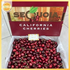 Cherry Mỹ Sequoia S10 (Lô đầu mùa) – Trái To Giòn Ngọt, Hàng Cực Tươi