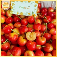 Cherry Vàng Mỹ S10 PridePack – Siêu Phẩm Giòn Ngọt, Hiếm Mỗi Mùa