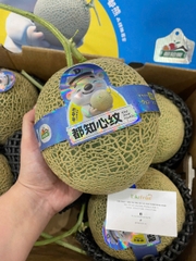 DƯA SỮA GIỐNG NHẬT S5