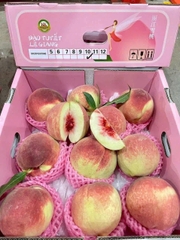 ĐÀO TUYẾT LỆ GIANG