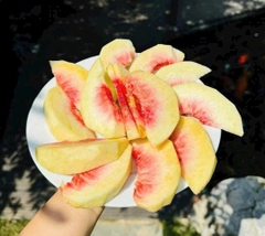 ĐÀO TUYẾT LỆ GIANG