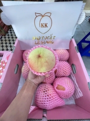 ĐÀO TUYẾT LỆ GIANG