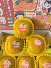 Hồng giòn Japan (Thùng)