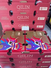 Cherry Chile Qilin – Con Lân 2JD | Xách 2.5kg – Size khủng, giòn ngọt đậm vị