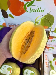 Dưa Lưới Aladin – Thơm Đậm, Ngọt Thanh, Thịt Cam Mọng Nước