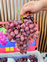 Nho đỏ kẹo