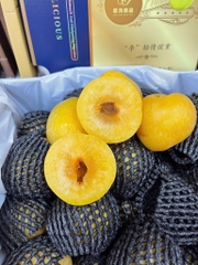 Mận cau bọc lưới