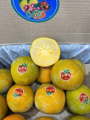 Hồng giòn socola