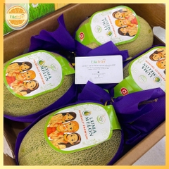 Dưa Lưới Luma Cao Cấp – Thơm Ngọt Tự Nhiên, Trái Đẹp Chuẩn Quà Biếu | Like Fruit