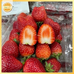 Dâu Hana Mộc Châu 500g – Tươi, ngon, Chuẩn Sạch Từ Nông Trại