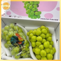 Nho Mẫu Đơn Shine Muscat – Thùng 2 Chùm Cao Cấp