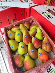 LÊ NAM PHI DELECTA S52