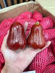 MẬN AN PHƯỚC