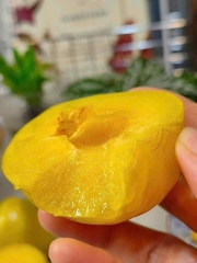 Mận cau bọc lưới