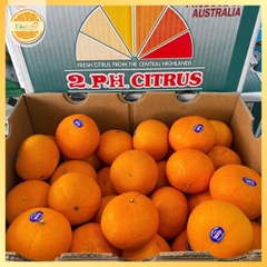 Quýt Úc 2PH Citrus S48