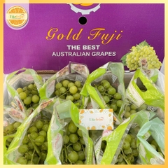 NHO XANH GOLD FUJI AUTUMN CRISP 9KG