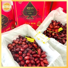 NHO ĐỎ NỮ HOÀNG NINA