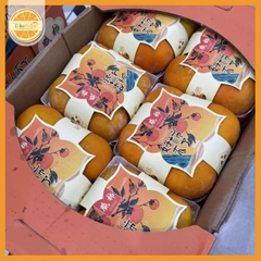 Hồng socola Haoshi