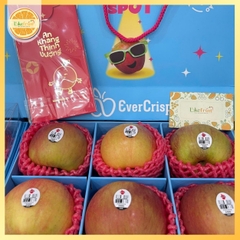 Set quà Táo Mỹ Evercrisp – Quà biếu sang trọng, giòn ngọt cao cấp