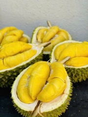 SẦU RIÊNG MUASANGKING (TRÁI)
