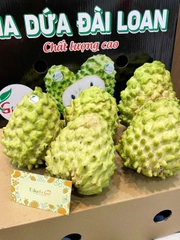 NA DỨA ĐÀI LOAN S5-S6