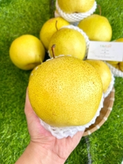 LÊ MẬT HÀ GIANG