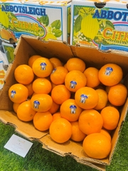 QUÝT ÚC CITRUS
