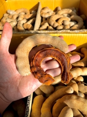 ME THÁI LAN