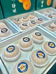 LÊ NÂU SHUN'S SIZE 6