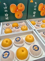LÊ NÂU SHUN'S SIZE 6