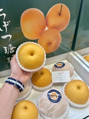 LÊ NÂU SHUN'S SIZE 6
