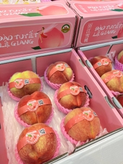 ĐÀO TUYẾT LỆ GIANG - S6
