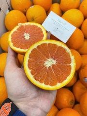 Cam Cara Ruột Đỏ