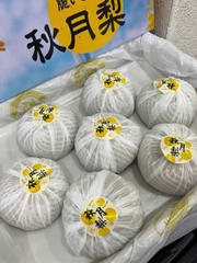 LÊ XANH NHẬT