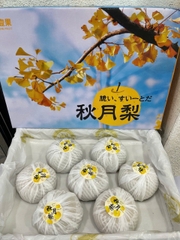 LÊ XANH NHẬT
