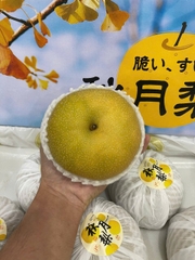 LÊ XANH NHẬT
