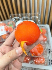 Hồng Thạch Trân Châu