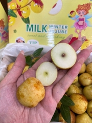 HỒNG TÁO SỮA VIP THÙNG 1.5KG