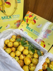 HỒNG TÁO SỮA VIP THÙNG 1.5KG
