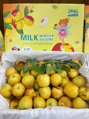 HỒNG TÁO SỮA VIP THÙNG 1.5KG