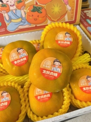 Hồng giòn Japan (Thùng)